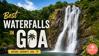Best Waterfalls in Goa - Coral BnB