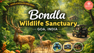 Bondla Wildlife Sanctuary - Coral BnB
