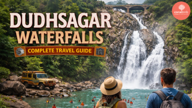 Dudhsagar Waterfalls - Coral BnB