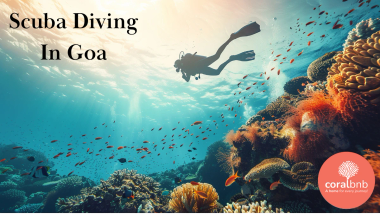 Scuba Diving In Goa - Coral BnB